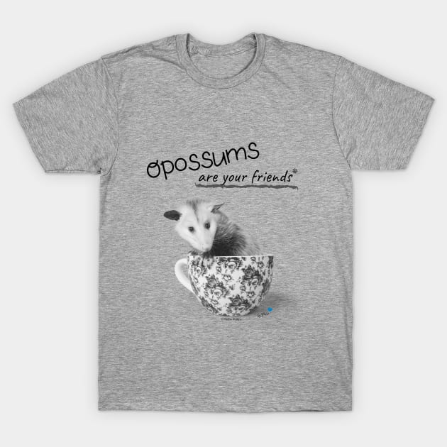 Opossums Are Your Friends T-Shirt by Phebe Phillips